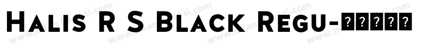 Halis R S Black Regu字体转换